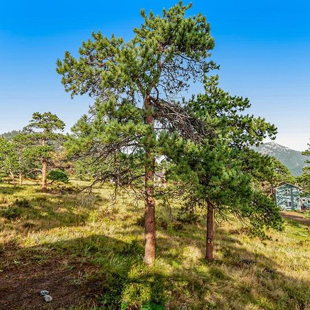 Deer Mountain Lodge South Estes Park Bagian luar foto